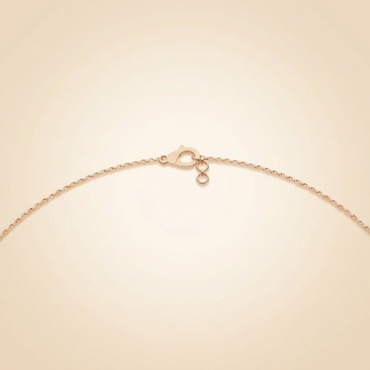 Lab Grown Diamond Double Layer Circle & Charm Necklace